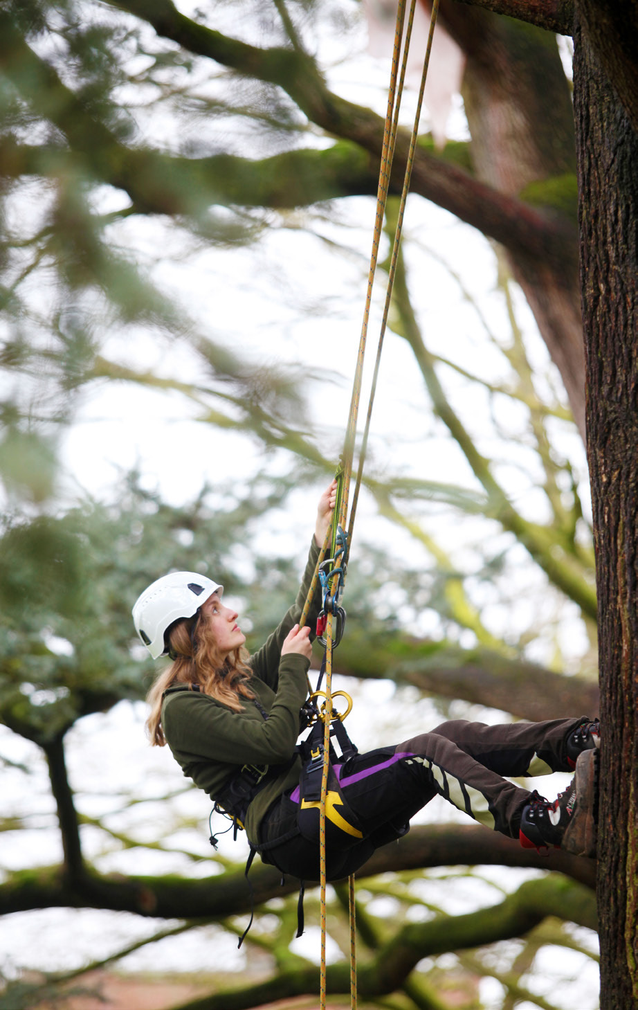 Charlotte Brock enjoying a tree climbing session.