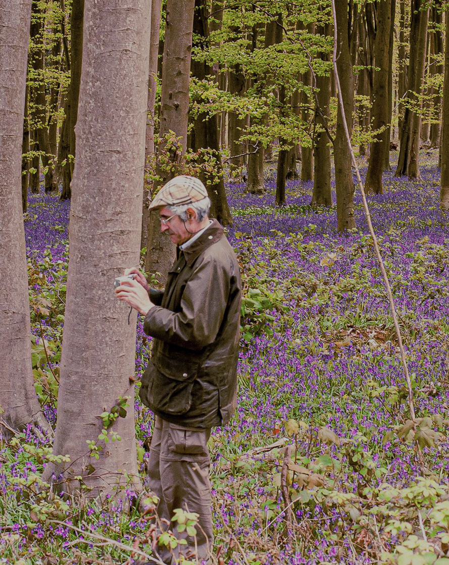 David in his element: examining an insect in a modern beech stand planted in a Romano-British field in the Sussex Downs, April 2010. (Photo: Jim Pratt)