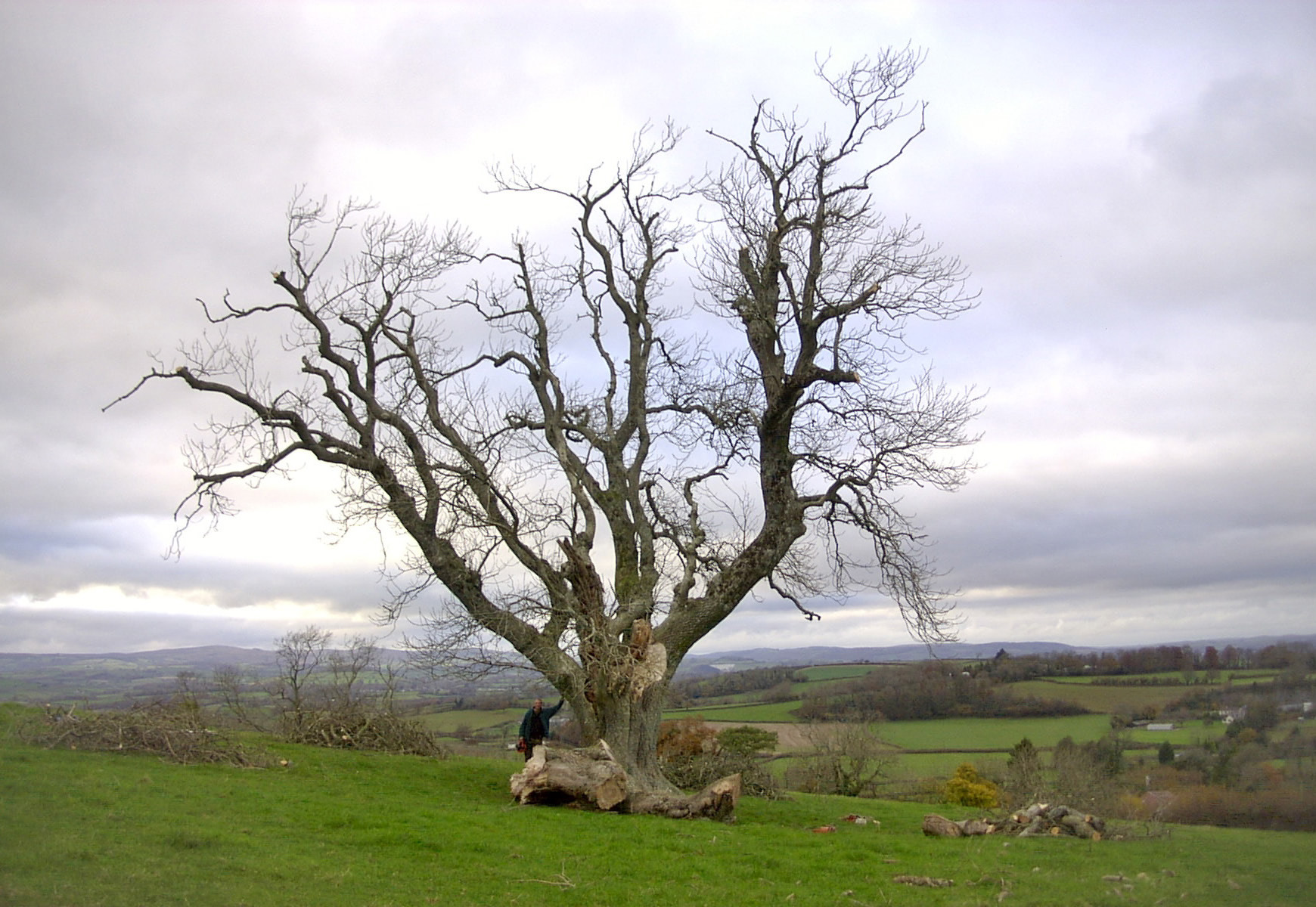 After the work was completed in 2008. Compare this image to the image from 2005. (Photo: Rupert Baker)