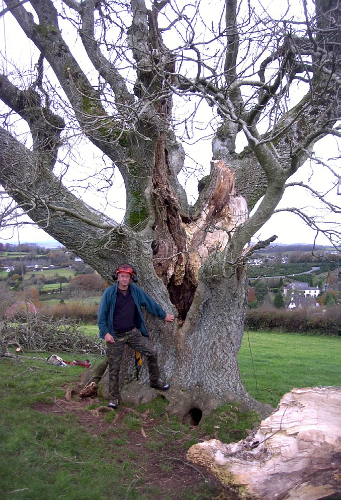 Working on the Beacon Ash, 2008.  (Photo: Rupert Baker)