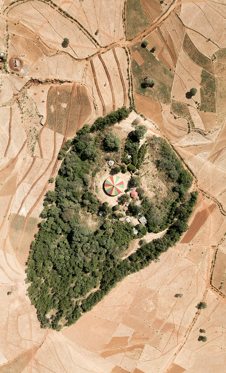 A church forest. (© Kieran Dodds/www.kierandodds.com)