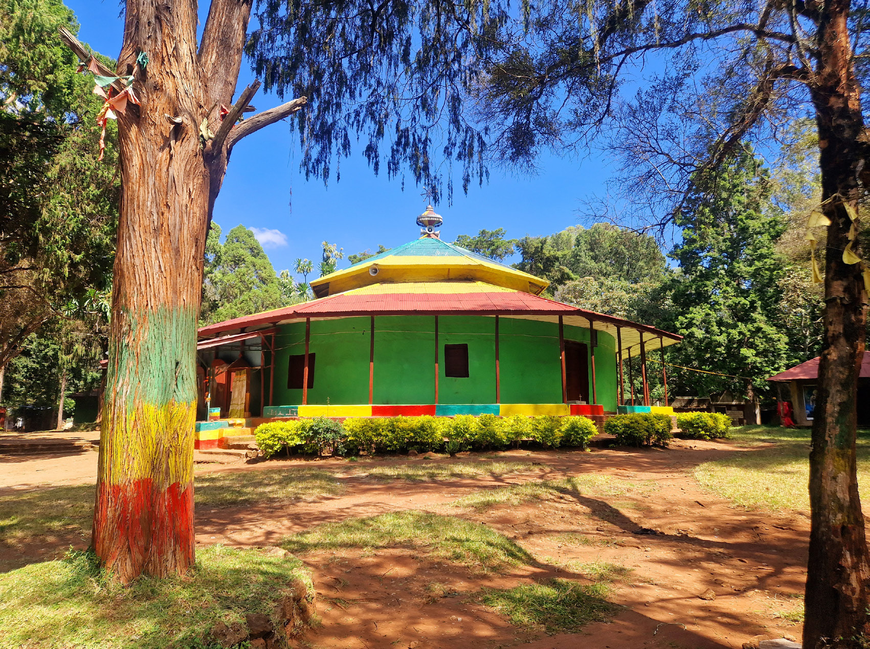 A Tewahedo Orthodox church surrounded by its forest.
