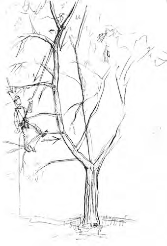 Workshop participants were given a tree, a scenario and free rein to draw whatever solution came to mind. This is Mark Bridge’s solution.