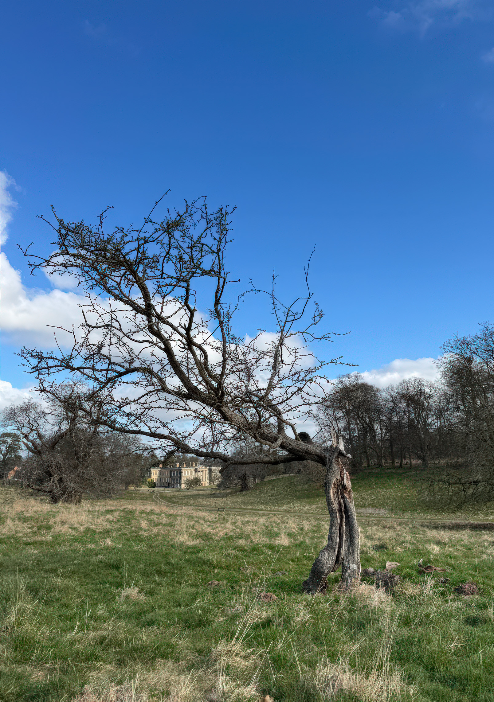 Blue skies over Calke Abbey during the latest round of VETcert exams.