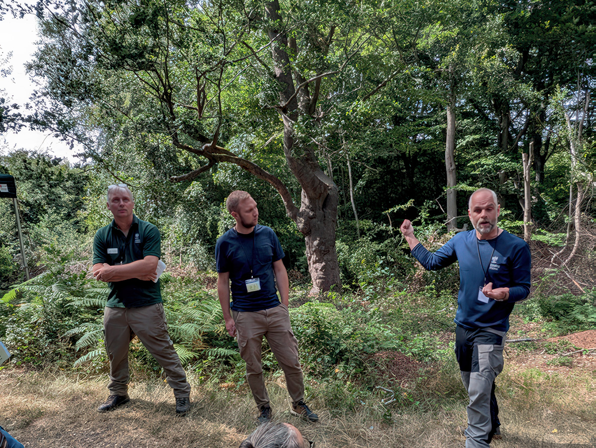 Shaun Waddell, Grant Thornhill and Gavin Bodenham from the City of London’s teams discussed haloing techniques like those used around the tree behind them.