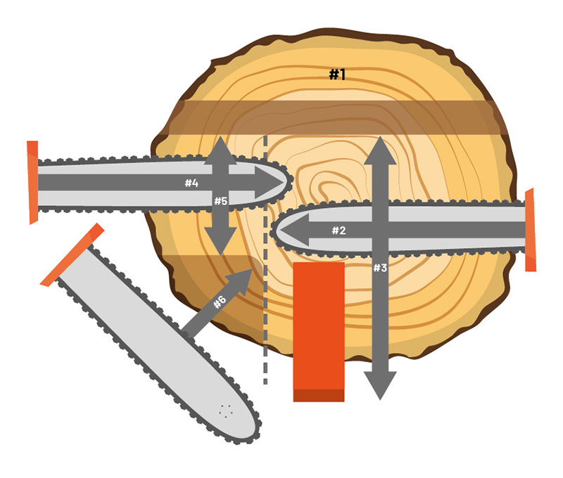 Illustration from Technical Guide 3