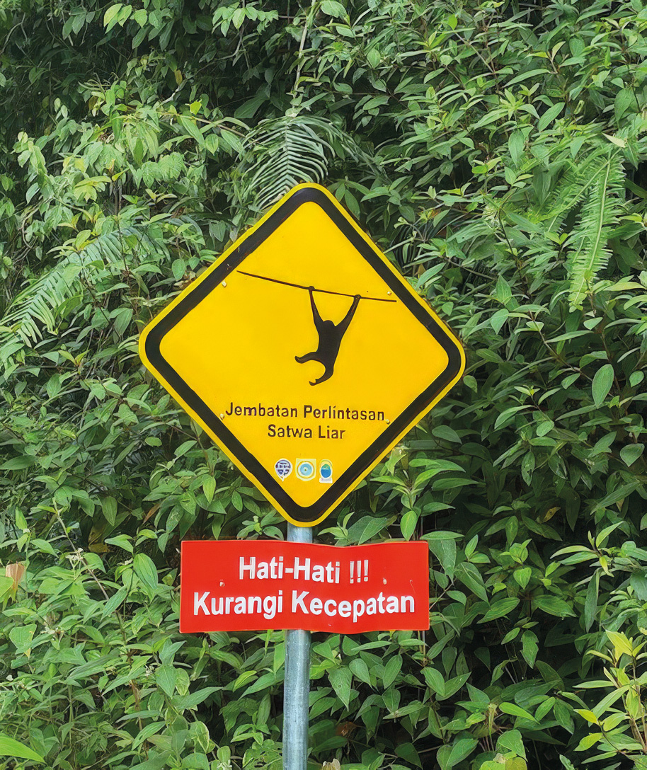 Rope bridge warning signs.