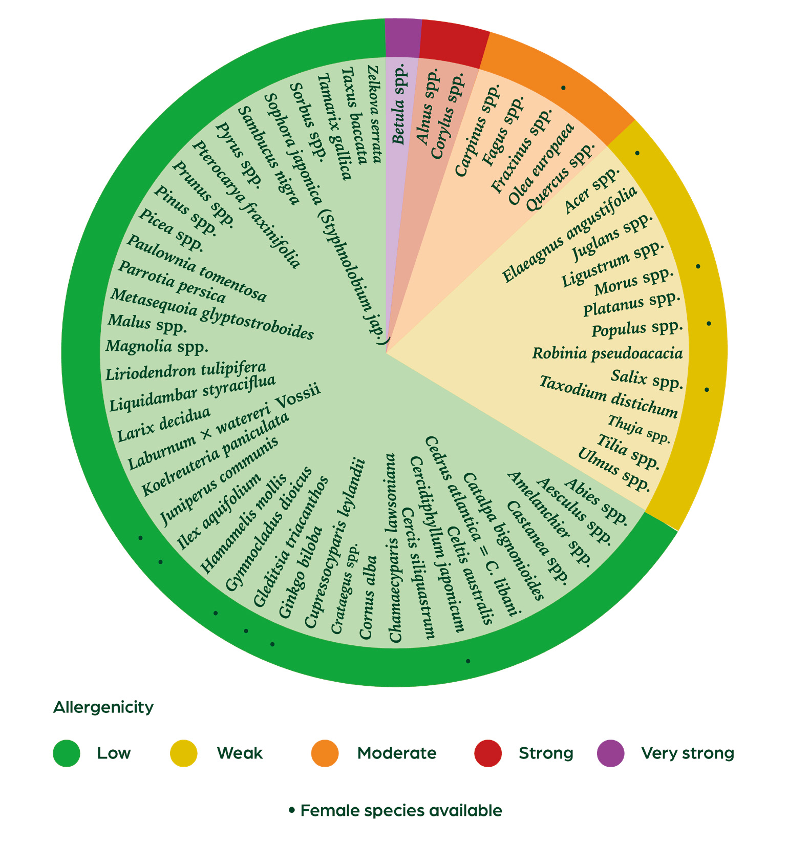 Figure 3: The Tree Pollen Guide for allergenic pollen. This is a simplified version of the guide, leaving out
		the specific regions where the scientific evidence for allerginicity originated from. This is described in
		detail in De Weger et al. (2024).