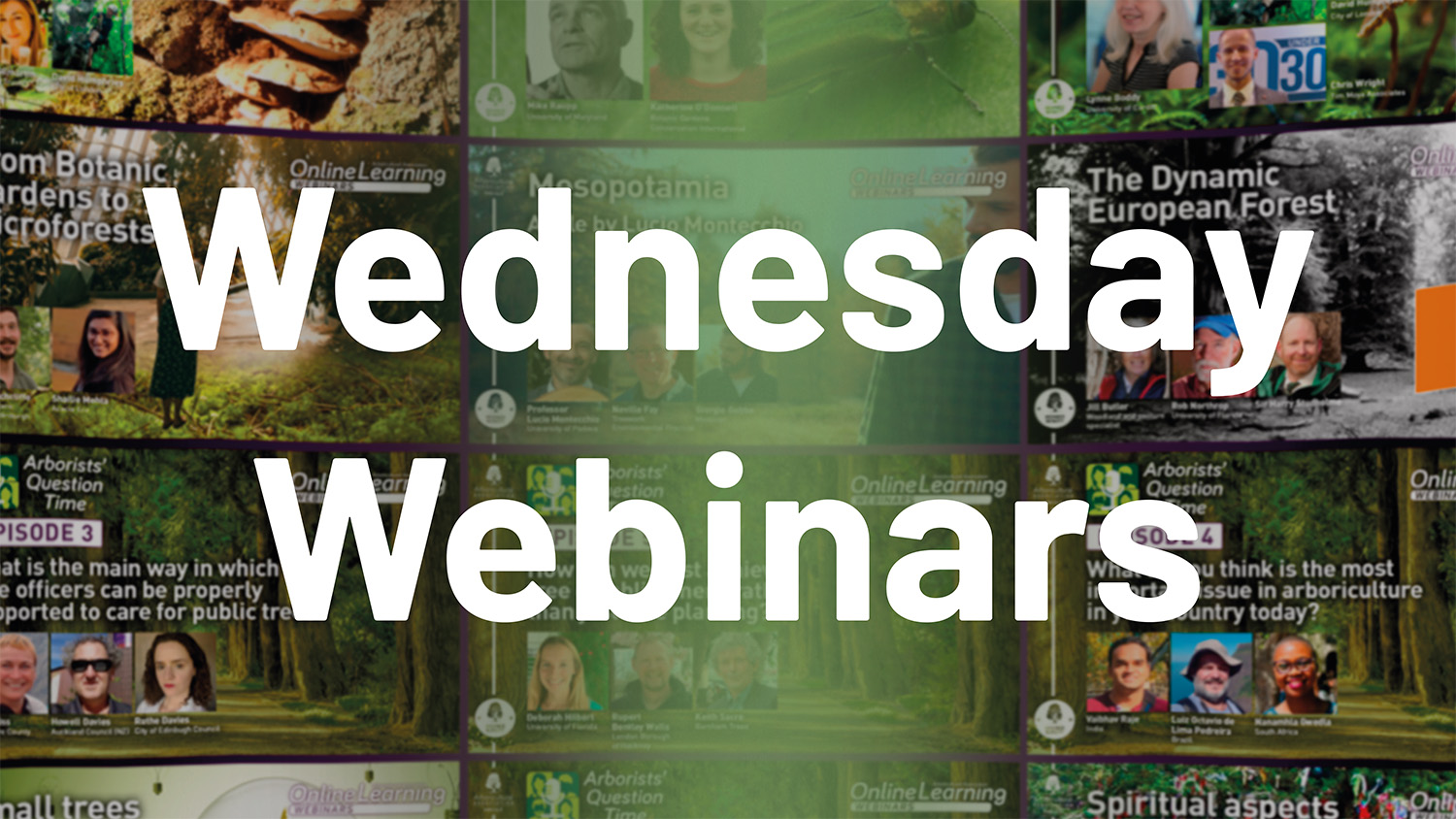 Wednesday Webinars Record