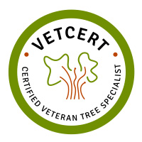 VETcert examinations