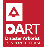DART relief effort after Hurricane Beryl