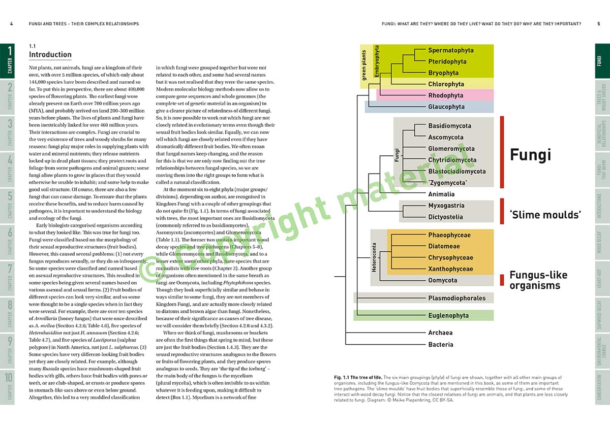 Sample Inside Spreads