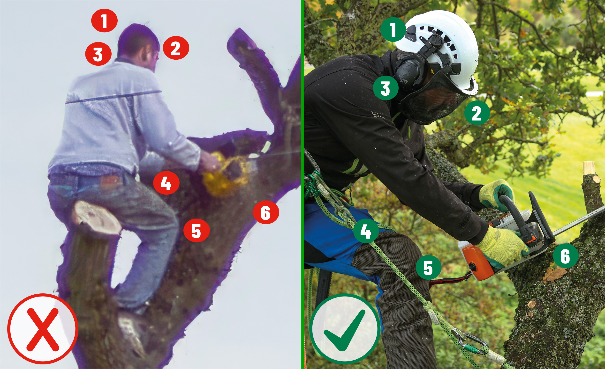 Arboricultural Association - Choosing your Arborist (Tree Surgeon)