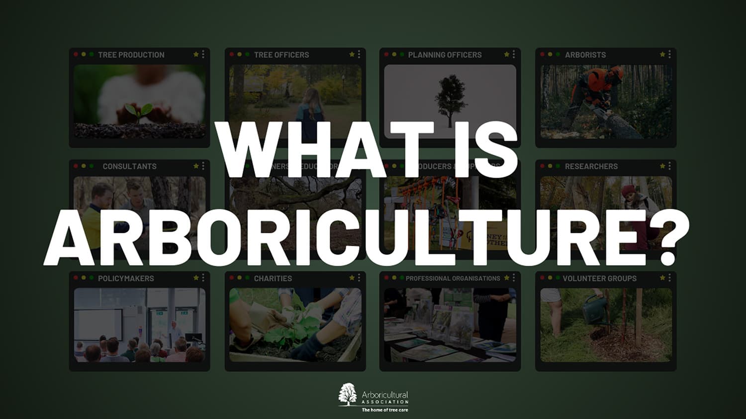 What is Arboriculture?