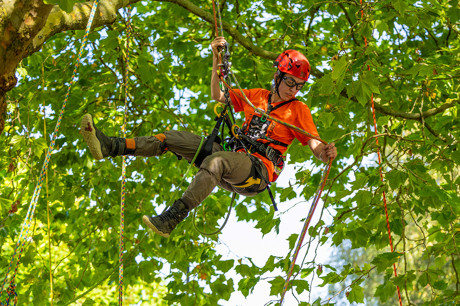 Previous UK&I TCC competitors