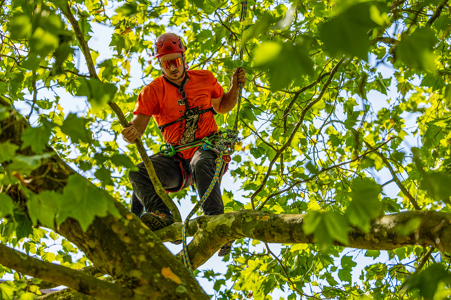 Previous UK&I TCC competitors