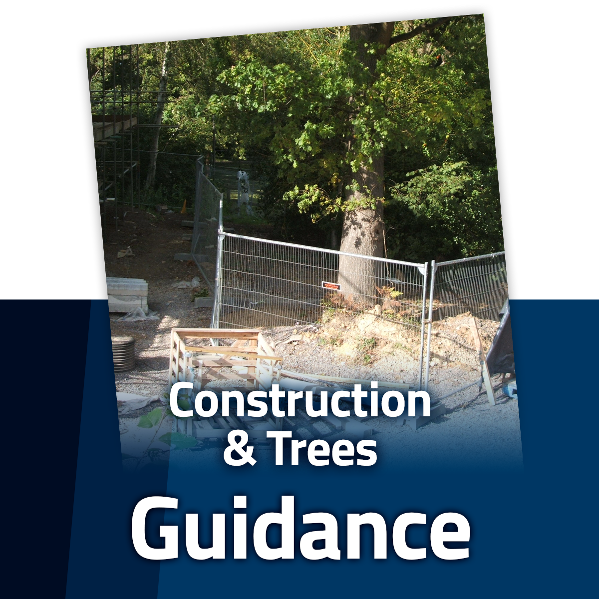 Guide to Trees and Construction