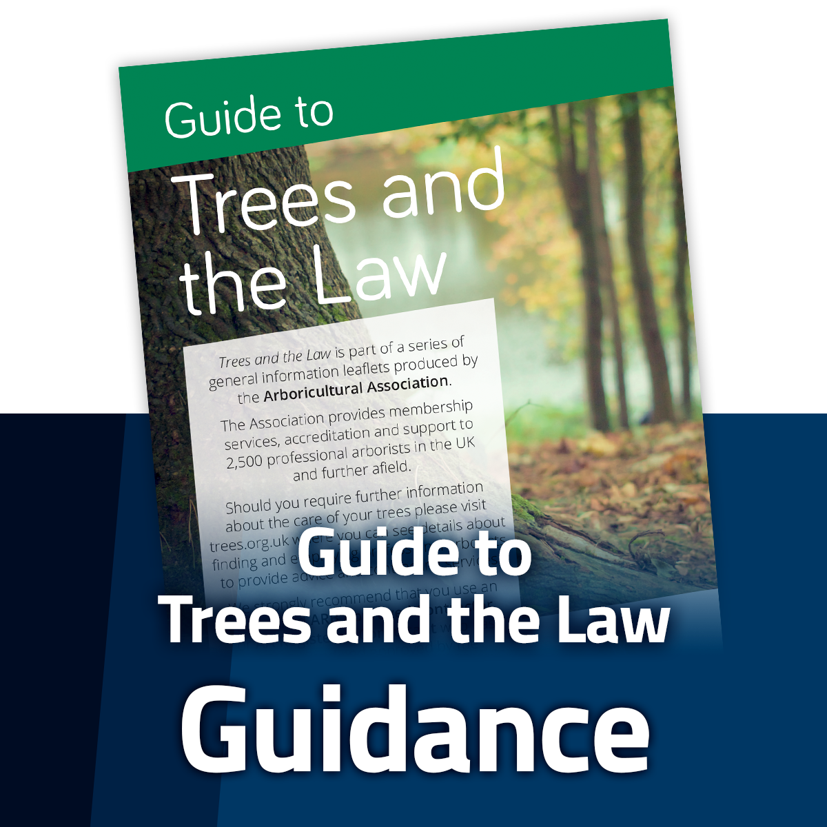 Guide to Trees and the Law