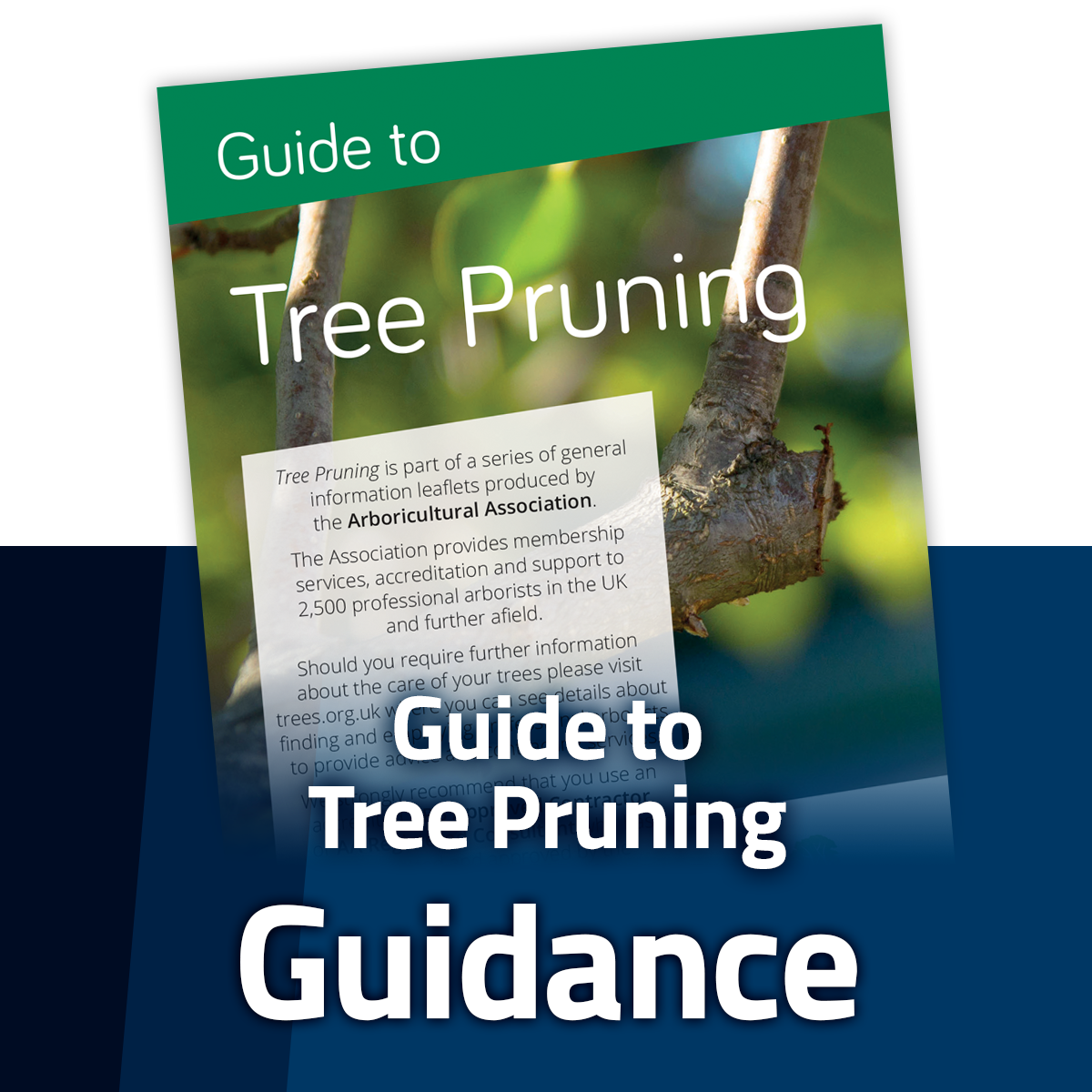 Guide to Tree Pruning