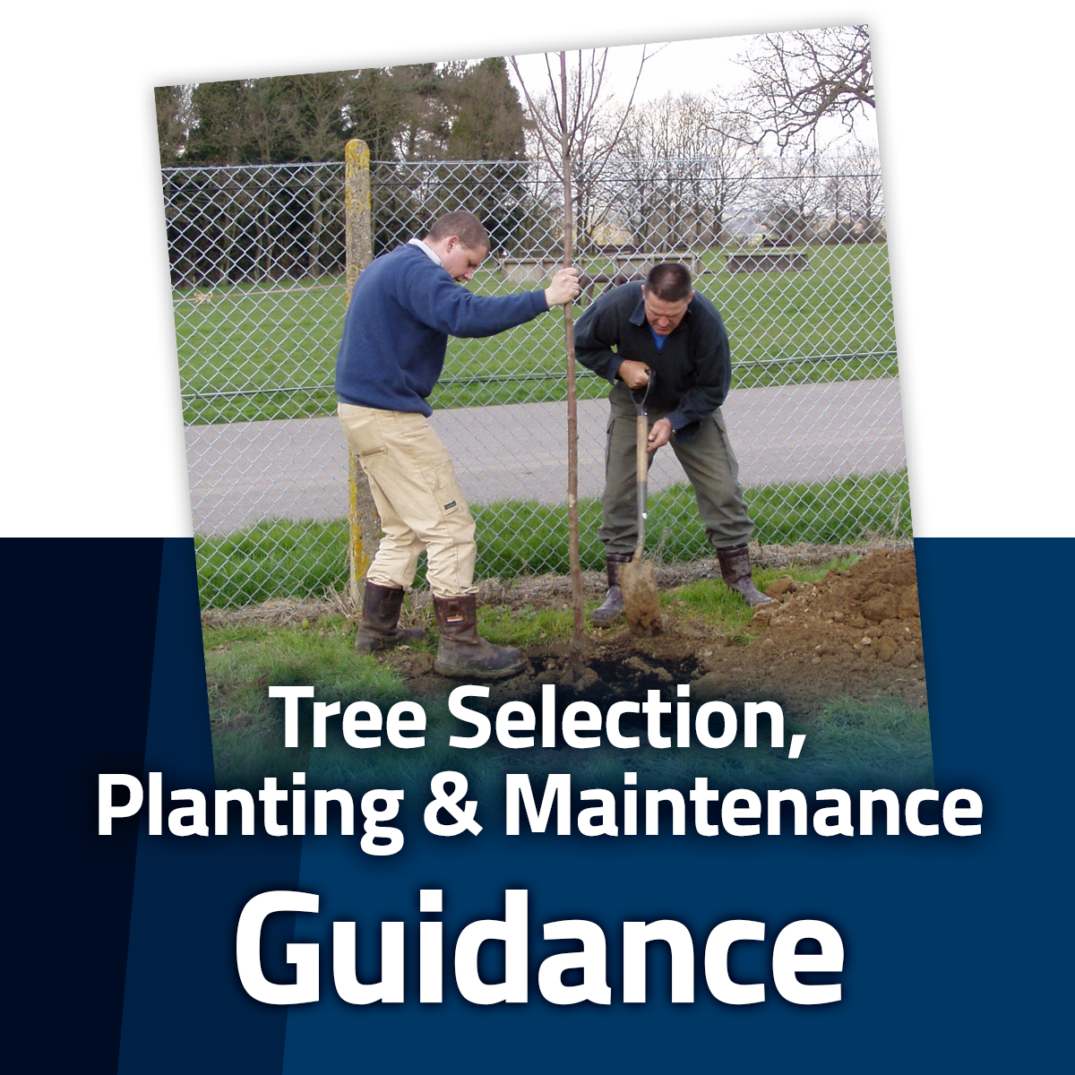 Guide to Tree Selection, Planting and Maintenance