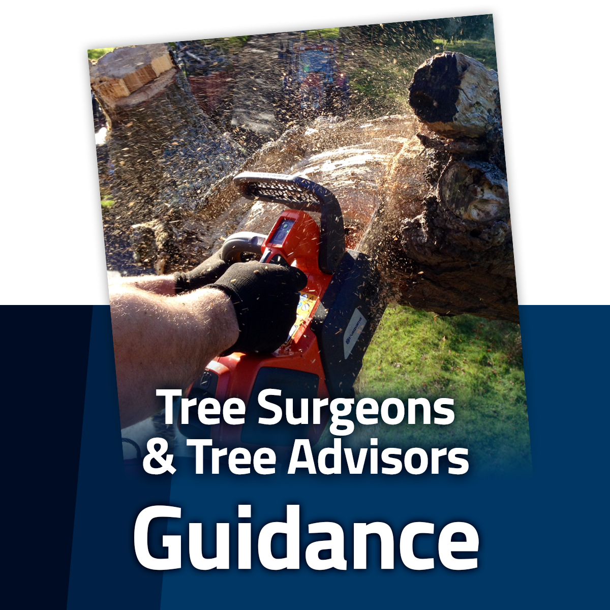 Tree Surgeons & Tree Advisors