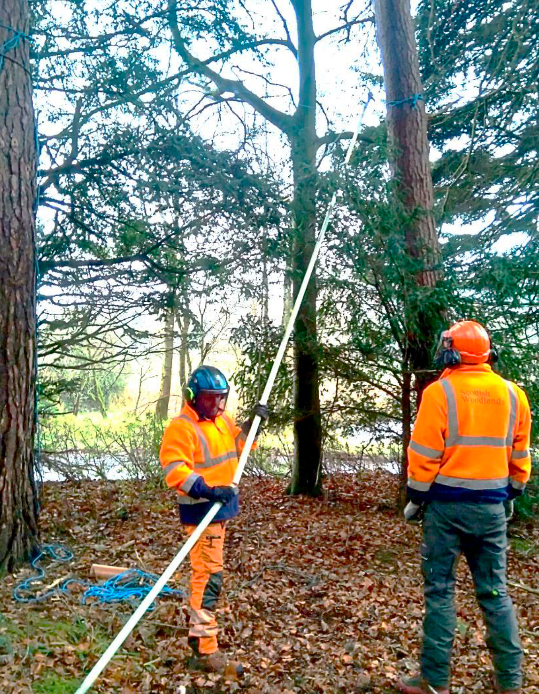 Reconstruction photo (using a section of blue rope) showing
	rods being assembled leaning against the overhead power line.