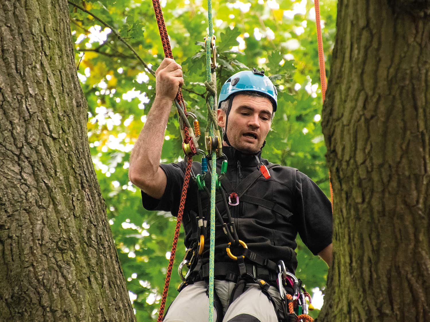 Arboricultural Association - Two-rope working – an update