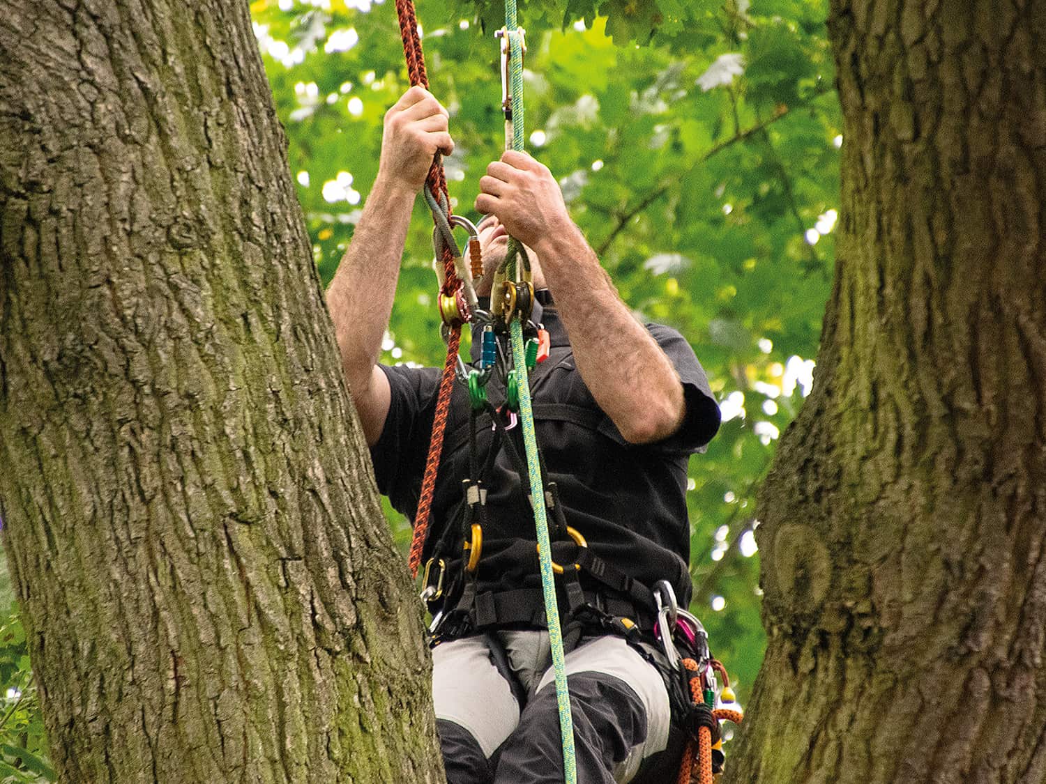 Freeworker Blog » The splice, the safe end of the tree climbing rope