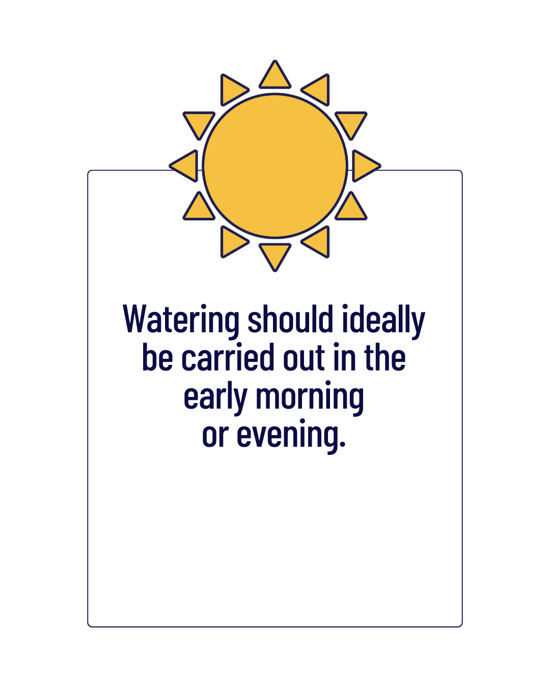 Watering should ideally be carried out in the early morning or evening.