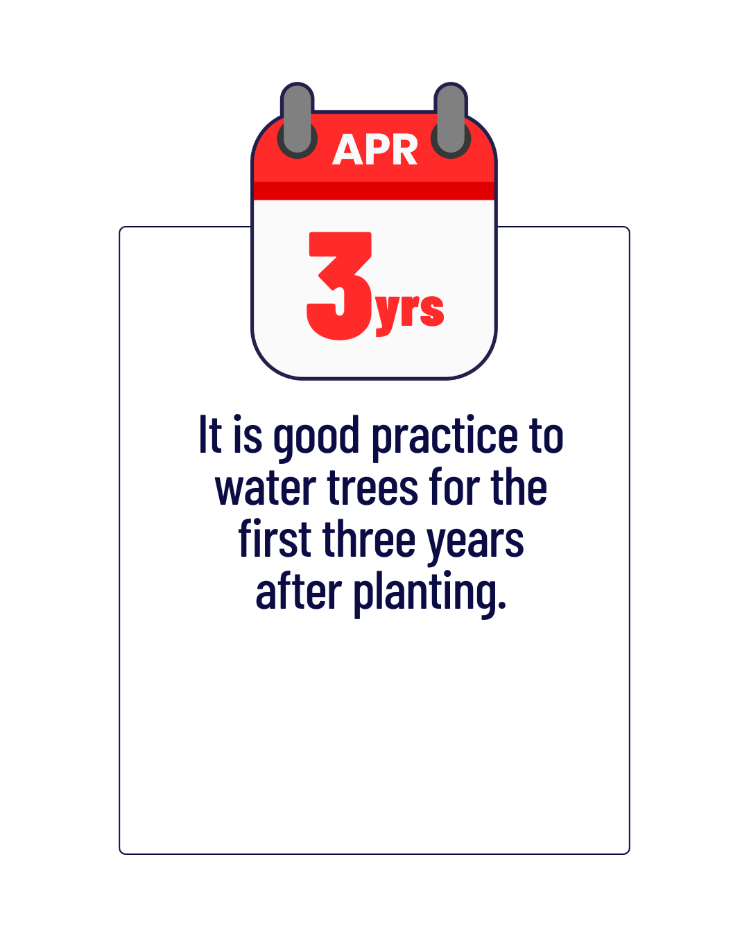 It is good practice to water trees for the first three years after planting.