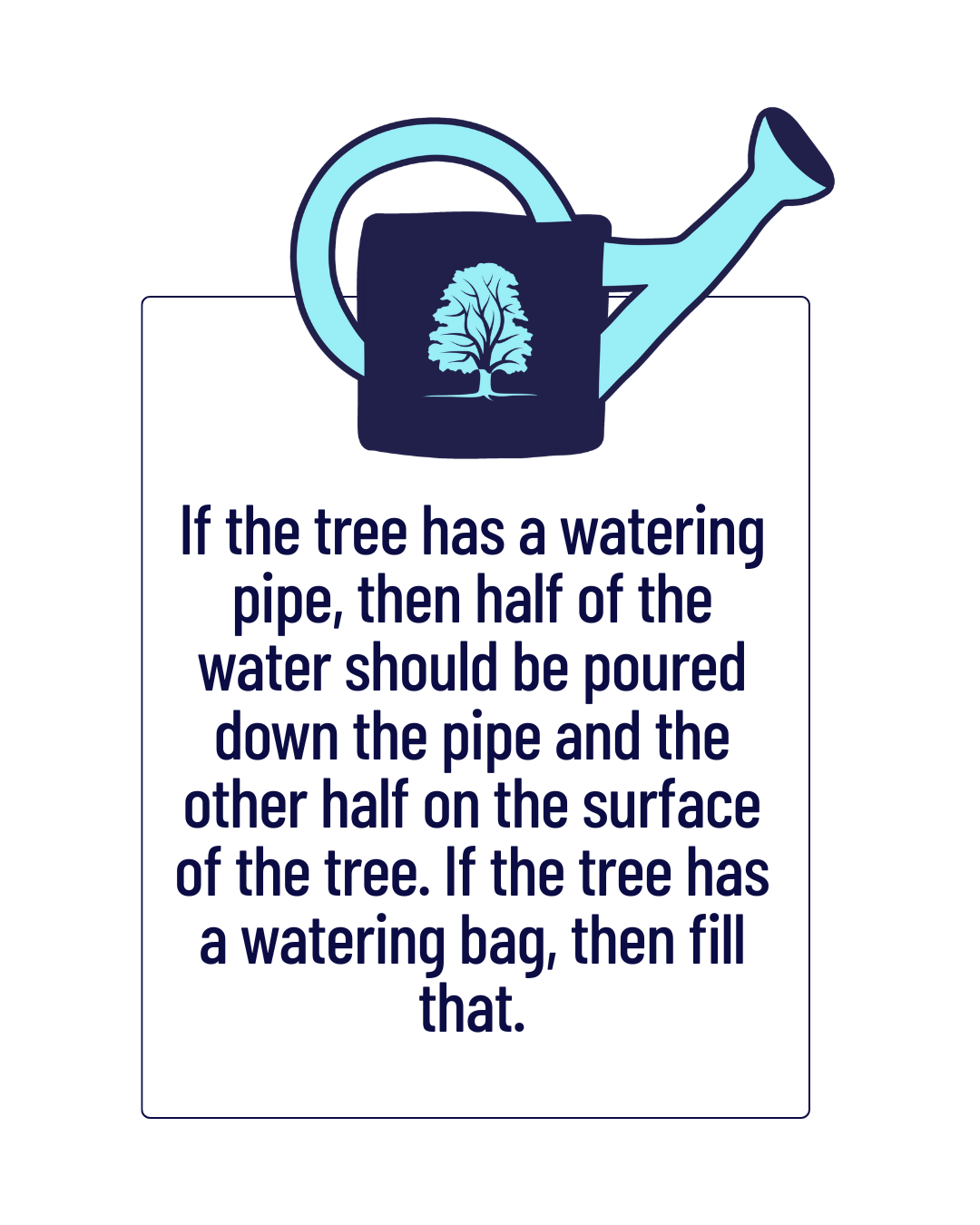 If the tree has a watering pipe, then half of the water should be poured down the pipe and the other half on the surface of the tree. If the tree has a watering bag, then fill that.