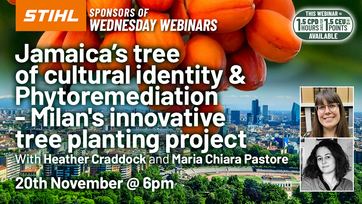 Jamaica’s tree of cultural identity & Phytoremediation - Milan