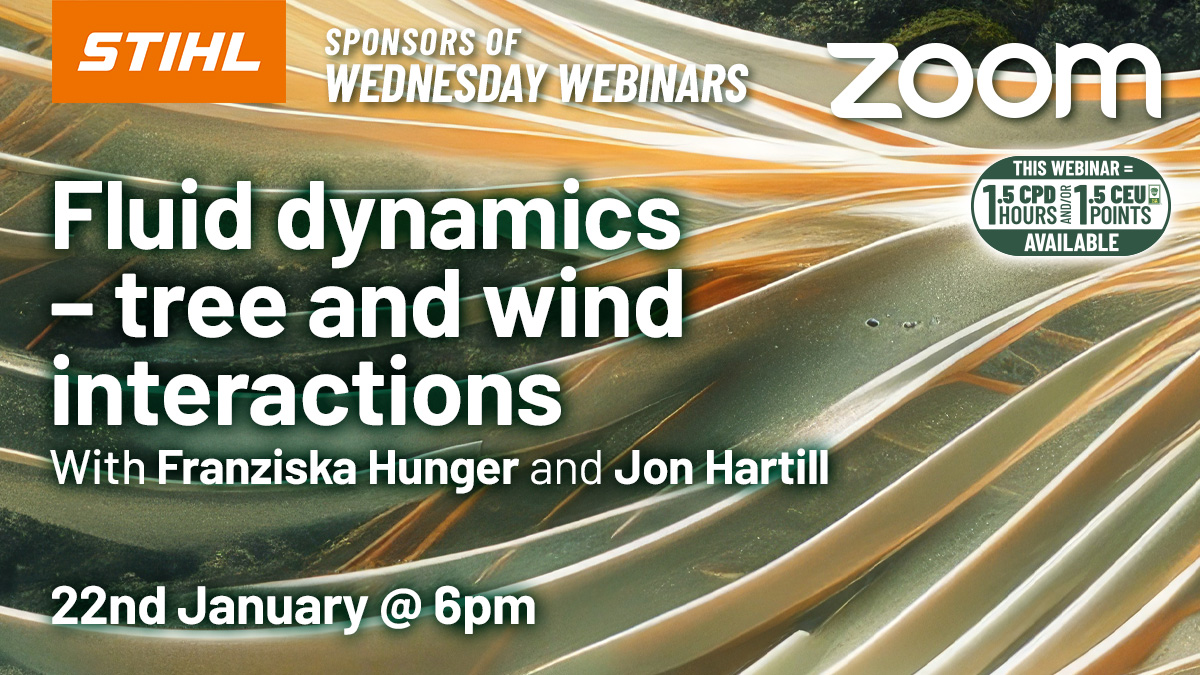 Fluid dynamics – tree and wind interactions