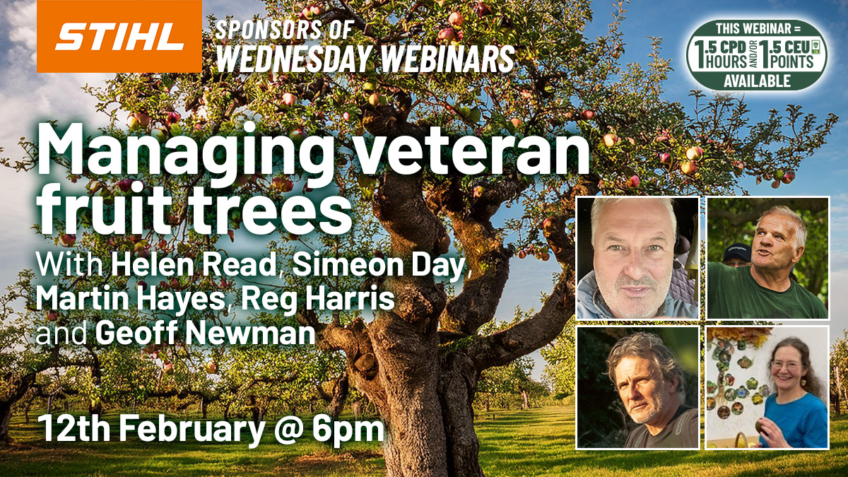 Arboricultural Association - Managing Veteran fruit trees