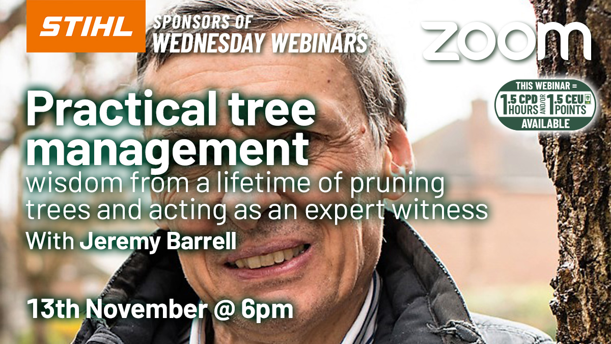 Tree wisdom; 50 years of busting myths as a climber, consultant, and expert witness