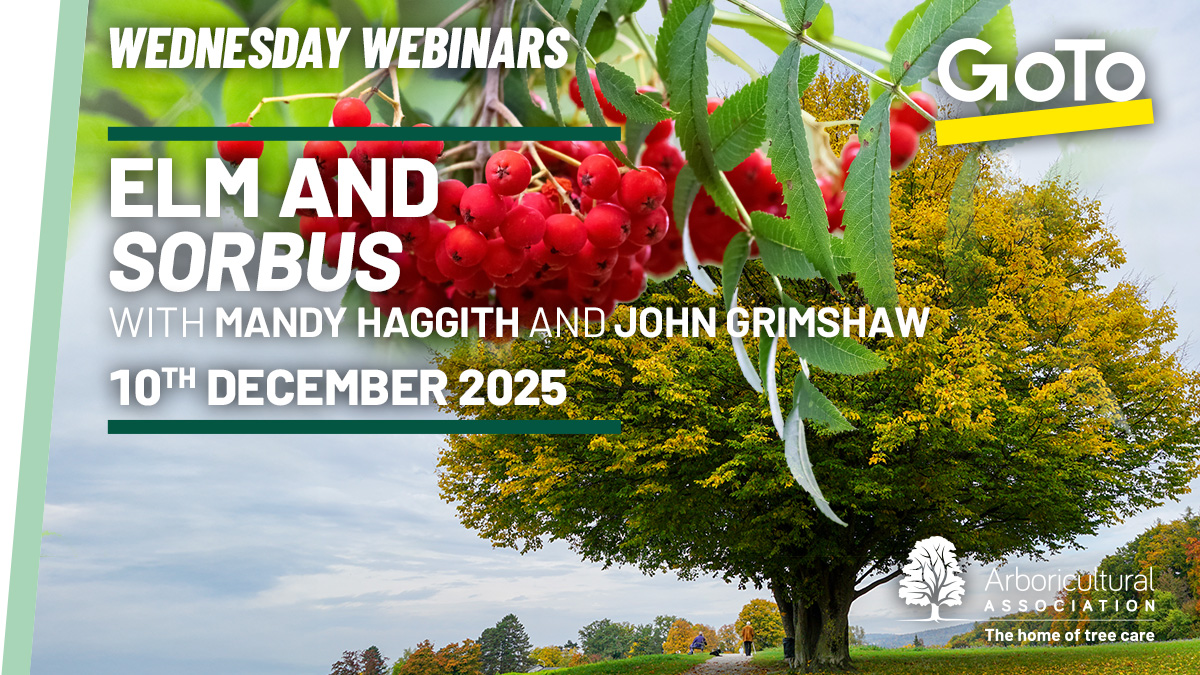 Elm and Sorbus