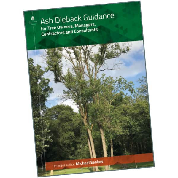 Ash Dieback Guidance