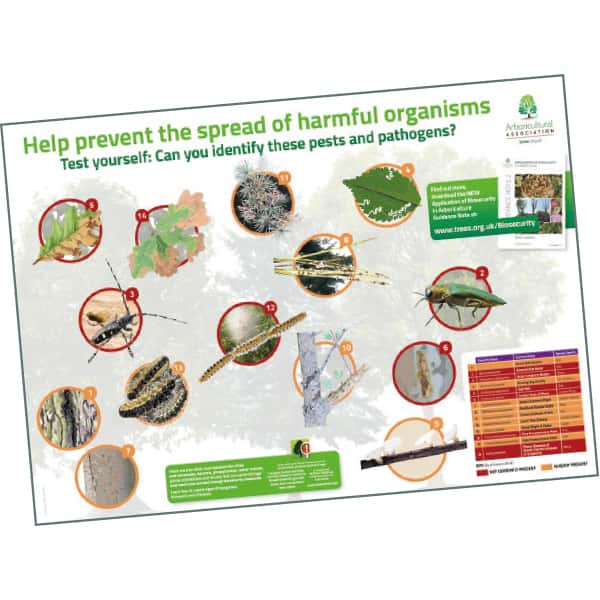Pest and Disease Poster