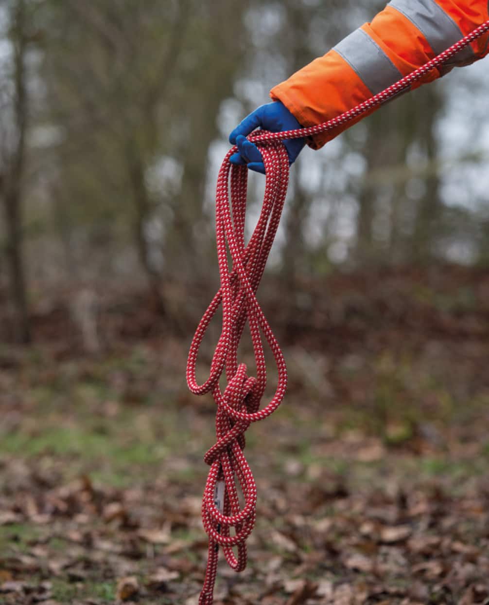 TG1 Tree Climbing and Aerial Rescue