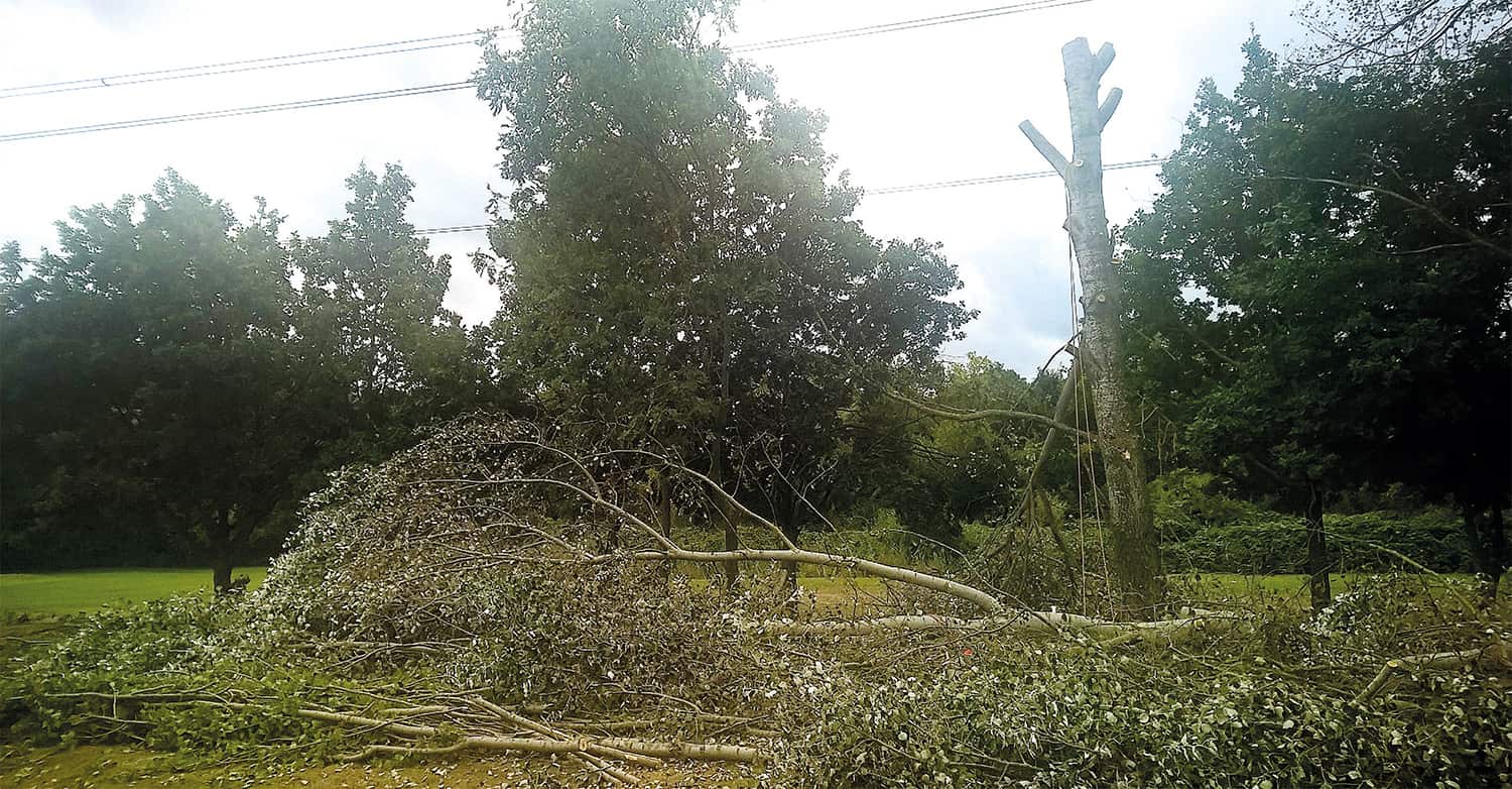Report to the UAG: a fall from 8.5m caused by an incorrect climbing line connection was totally avoidable.
