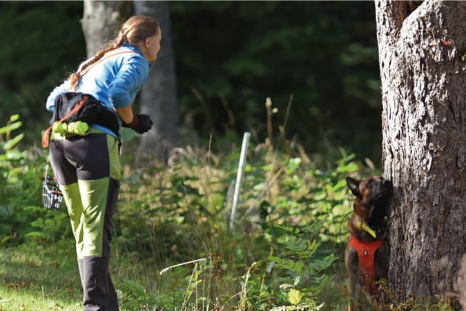 Jenny from Canibus and her dog demonstrated how dogs can be used to find spruce bark beetle.