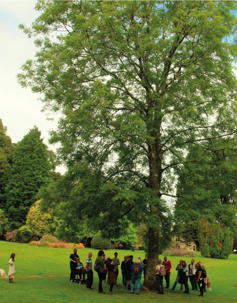 Ash dieback discussion.