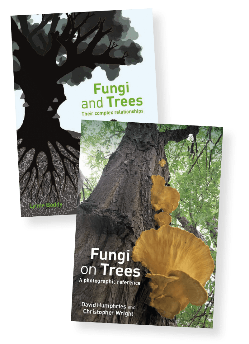 Fungi books launched