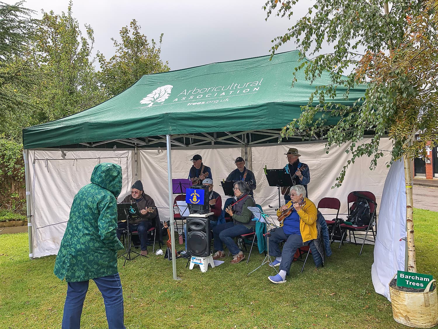 The Globe Willow Band