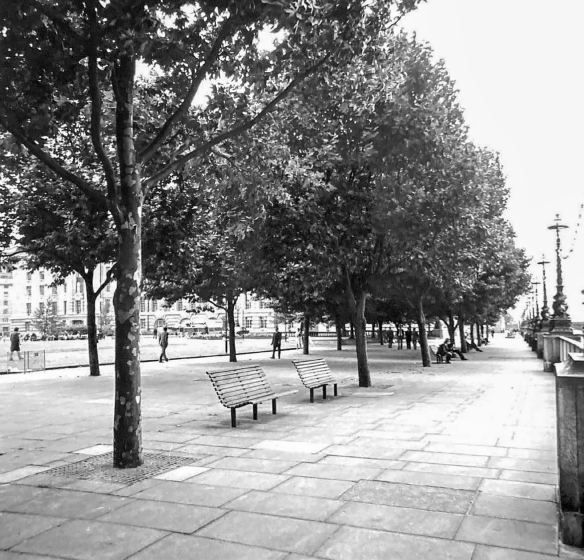 Photo 5: South Bank 1979