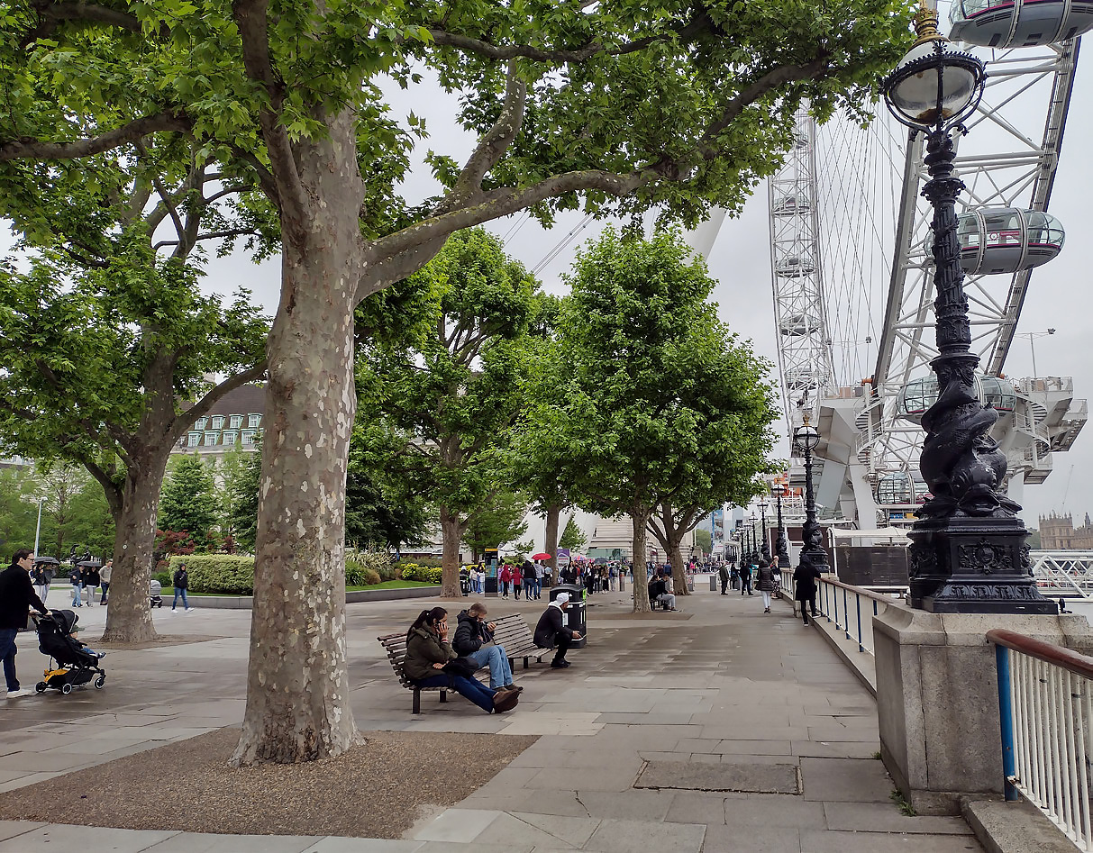 Photo 7: South Bank 2024