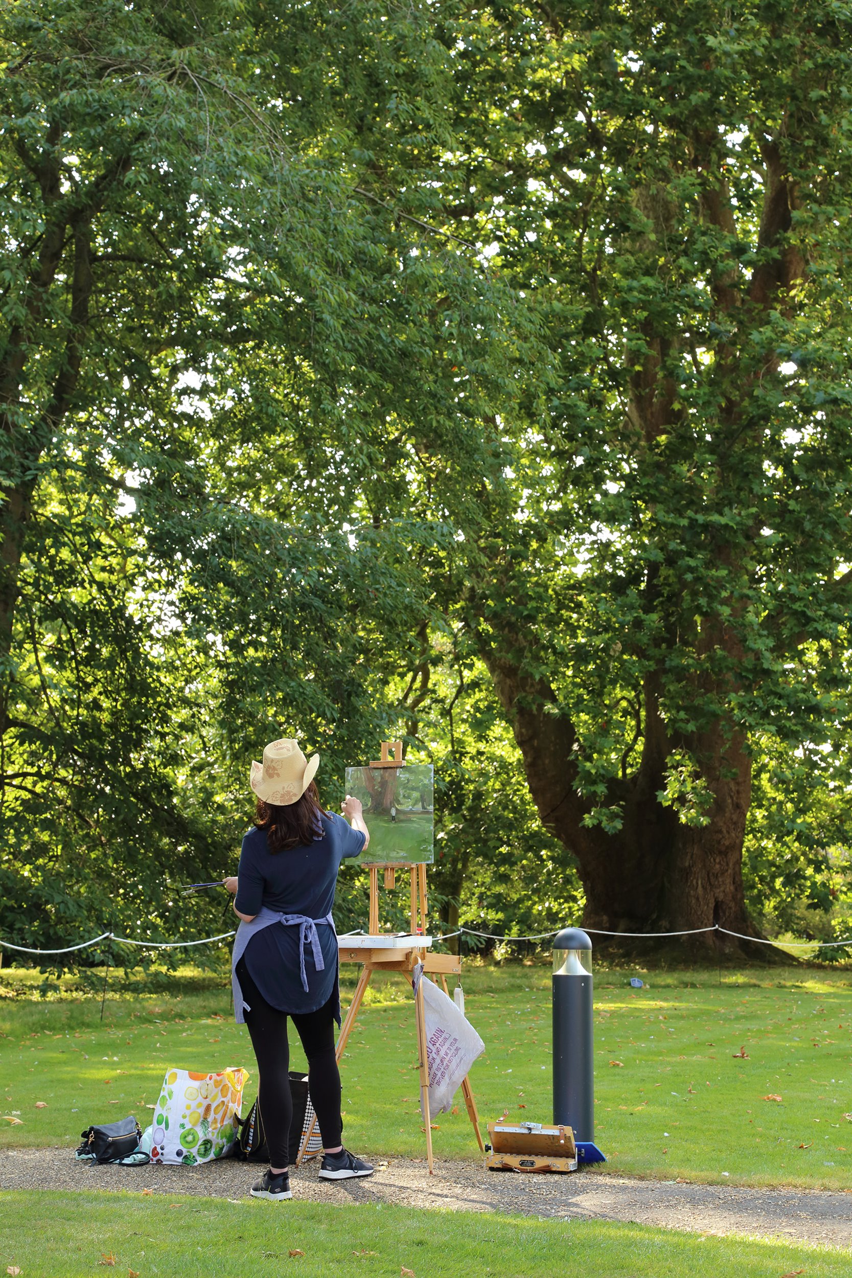 Ely’s London plane tree inspires artists with its imposing presence, creating an impressive variety of artworks