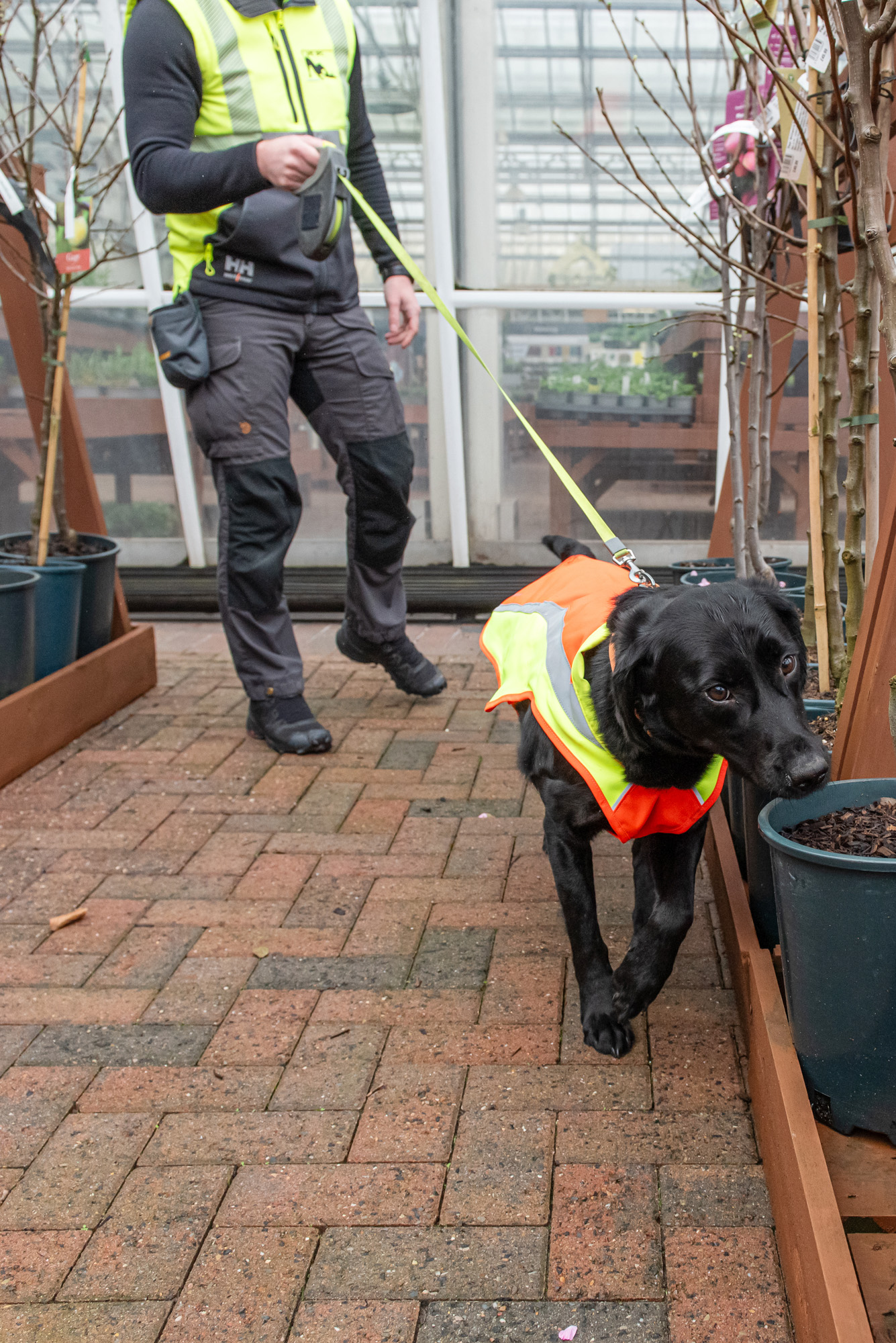 Sniffer Dog