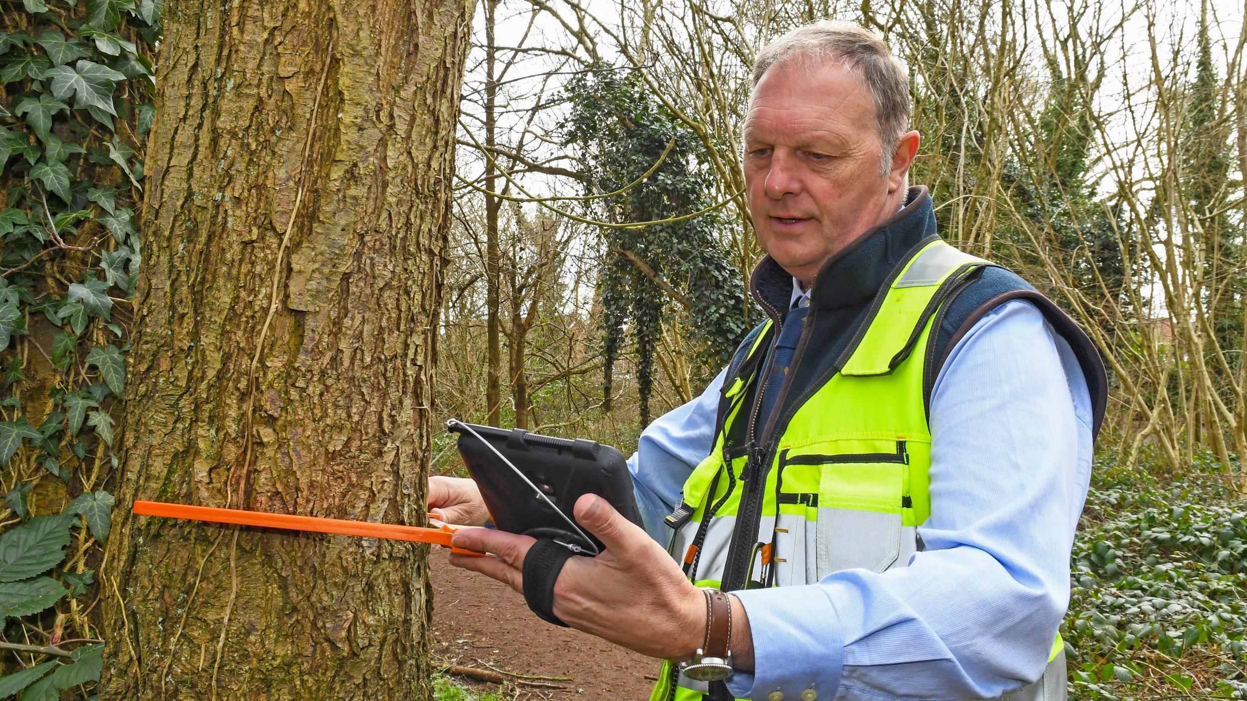 Darren Allen at work as a Tree Inspector