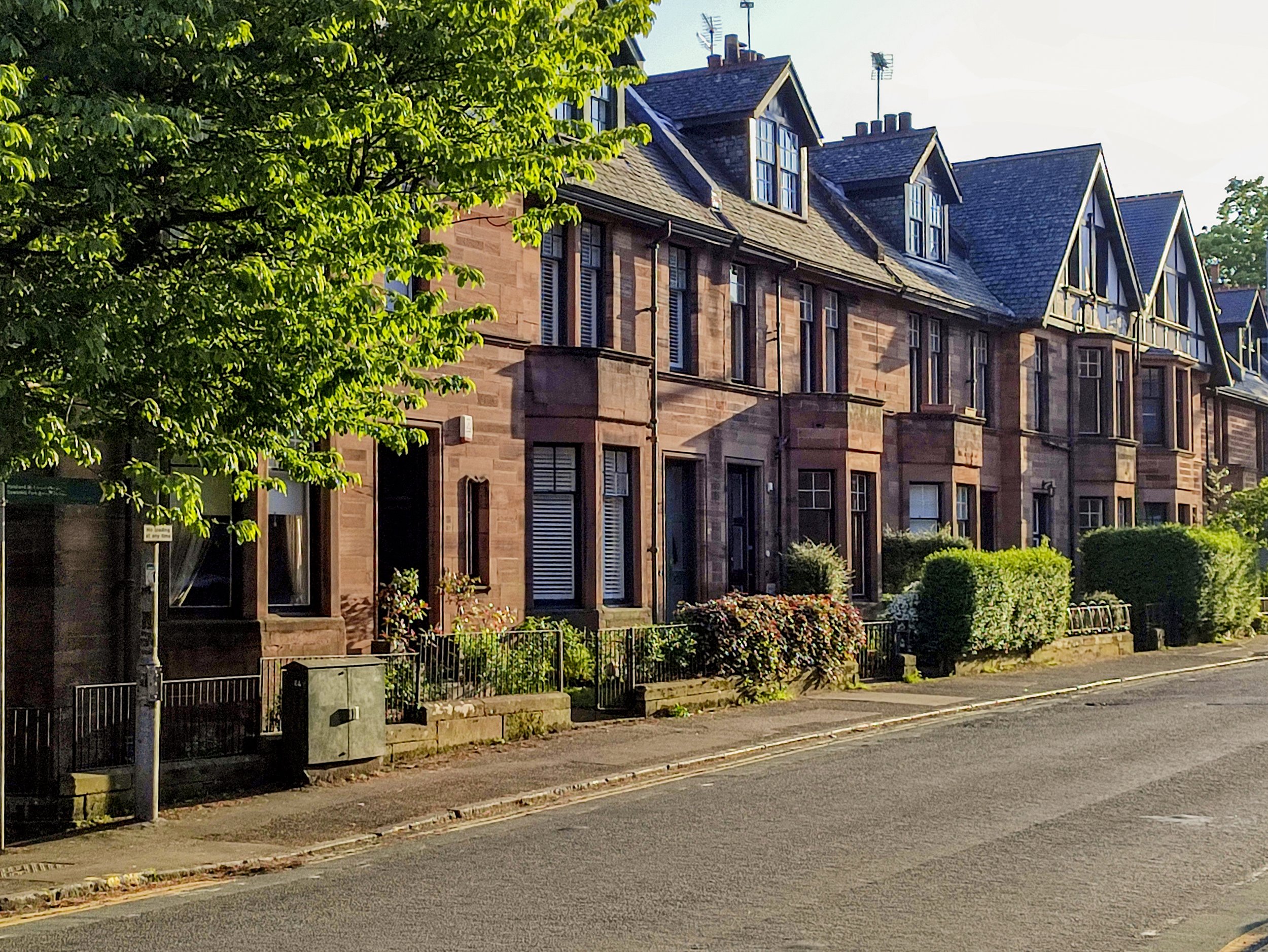 Trees for Streets scheme © Getty Images